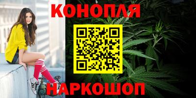 Альфа ПВП Краснознаменск