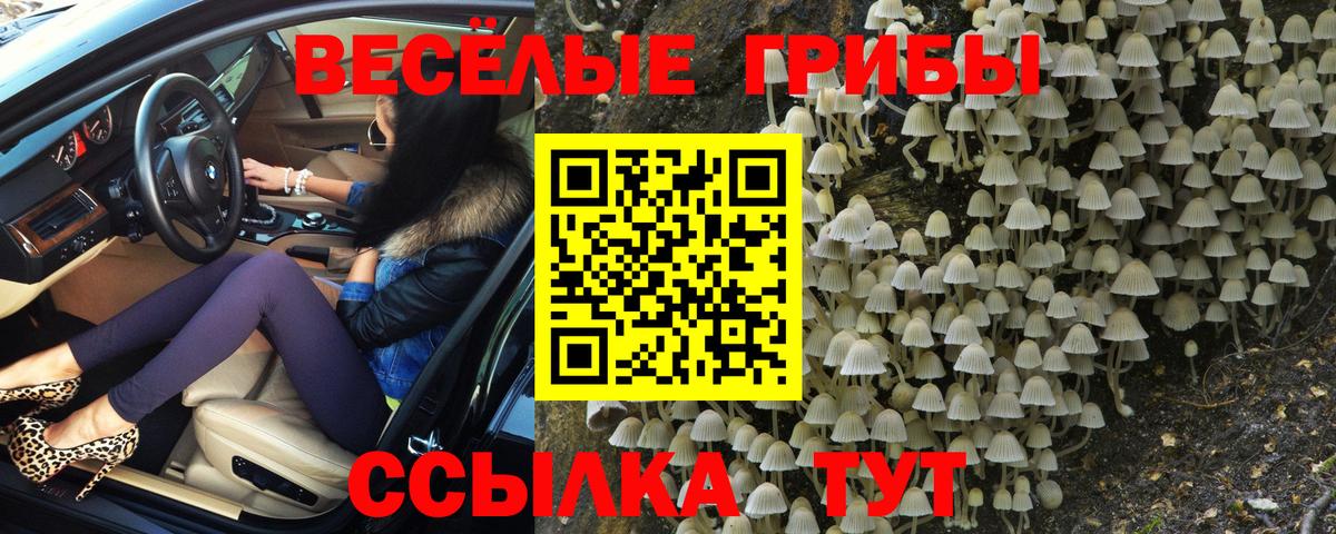 Галлюциногенные грибы мухоморы  Псилоцибиновые грибы MAGIC MUSHROOMS  Вход с VPN  Гагарин 